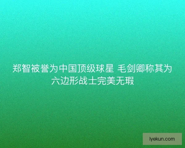 郑智被誉为中国顶级球星 毛剑卿称其为六边形战士完美无瑕